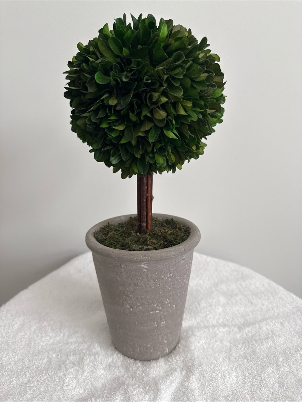 Smith & Hawken 12.5" Boxwood Ball Topiary Distressed Gray Pot